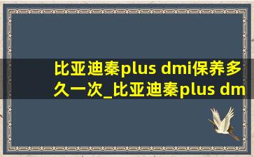 比亚迪秦plus dmi保养多久一次_比亚迪秦plus dmi保养多少钱